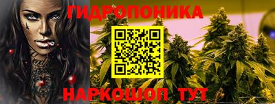 молекула духа Гусев