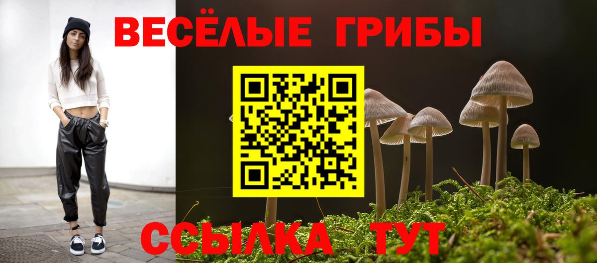 Псилоцибиновые грибы Cubensis  Вход с VPN  купить   Изобильный 